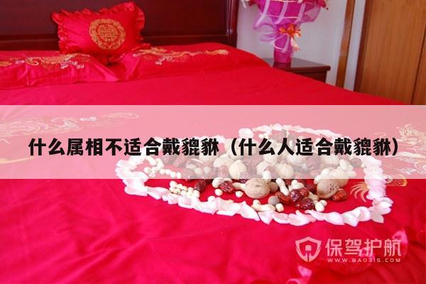 什么属相不适合戴貔貅（什么人适合戴貔貅）-第1张图片