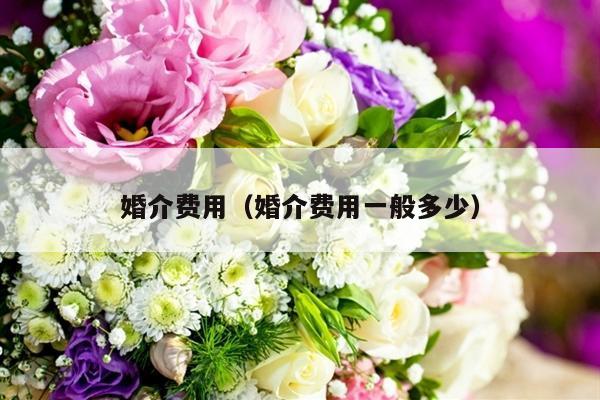 婚介费用（婚介费用一般多少）-第1张图片