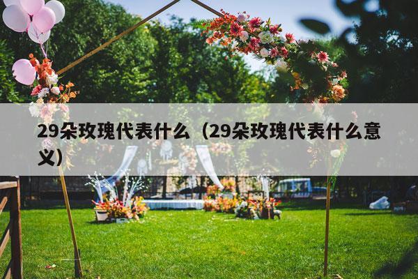 29朵玫瑰代表什么（29朵玫瑰代表什么意义）-第1张图片