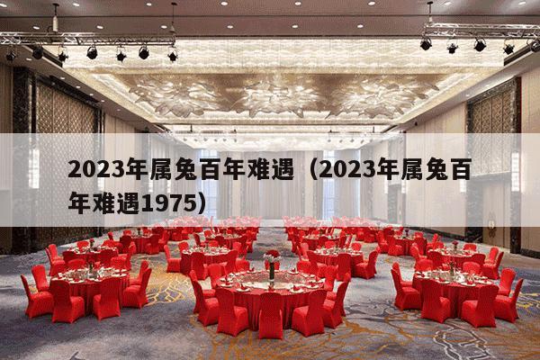 2023年属兔百年难遇（2023年属兔百年难遇1975）-第1张图片