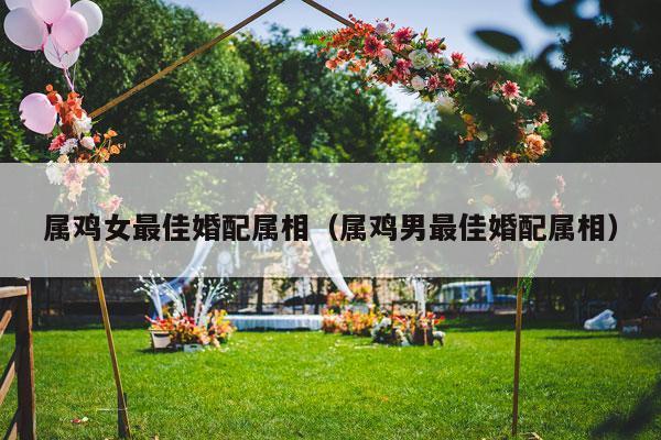 属鸡女最佳婚配属相（属鸡男最佳婚配属相）-第1张图片