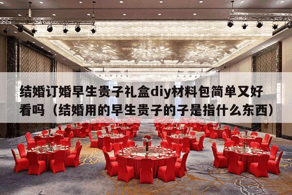 结婚订婚早生贵子礼盒diy材料包简单又好看吗（结婚用的早生贵子的子是指什么东西）-第1张图片
