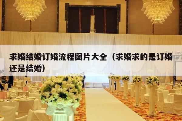 求婚结婚订婚流程图片大全（求婚求的是订婚还是结婚）-第1张图片