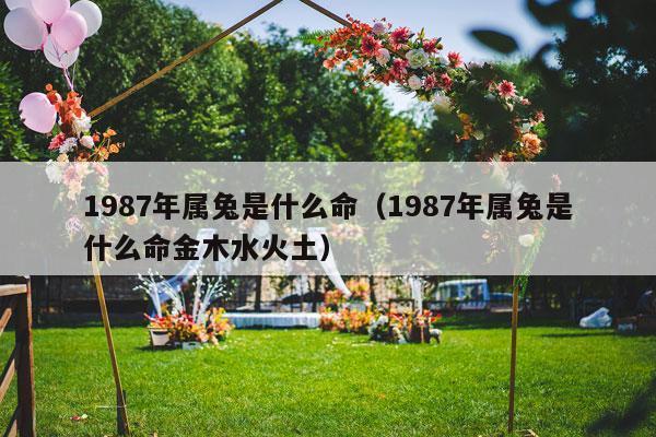 1987年属兔是什么命（1987年属兔是什么命金木水火土）-第1张图片