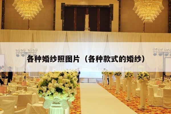 各种婚纱照图片（各种款式的婚纱）-第1张图片