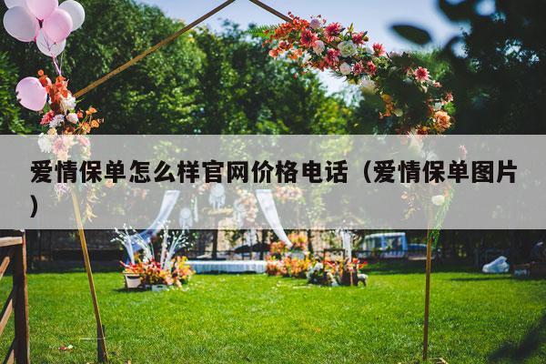 爱情保单怎么样官网价格电话（爱情保单图片）-第1张图片