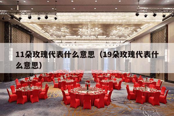 11朵玫瑰代表什么意思（19朵玫瑰代表什么意思）-第1张图片