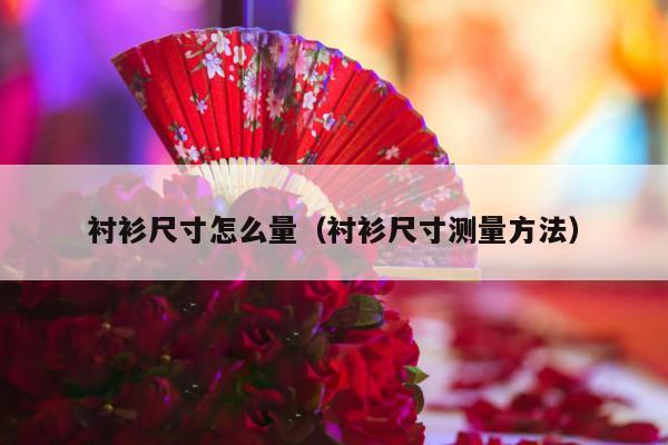衬衫尺寸怎么量（衬衫尺寸测量方法）-第1张图片