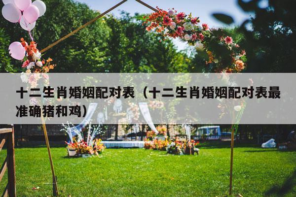 十二生肖婚姻配对表（十二生肖婚姻配对表最准确猪和鸡）-第1张图片