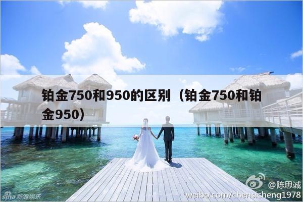 铂金750和950的区别（铂金750和铂金950）-第1张图片