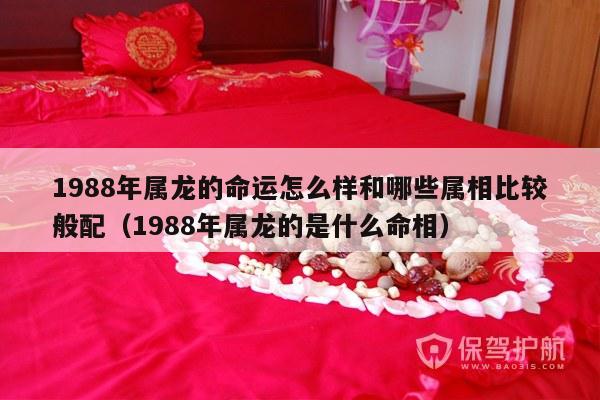 1988年属龙的命运怎么样和哪些属相比较般配（1988年属龙的是什么命相）-第1张图片