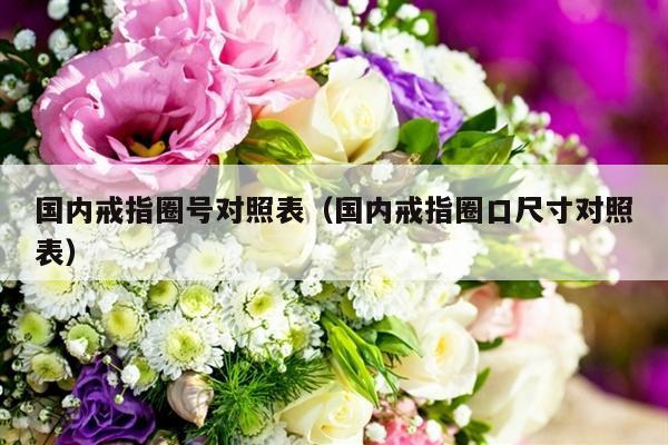 国内戒指圈号对照表（国内戒指圈口尺寸对照表）-第1张图片
