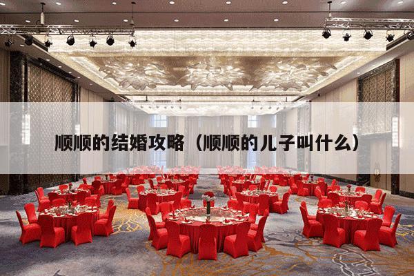 顺顺的结婚攻略（顺顺的儿子叫什么）-第1张图片