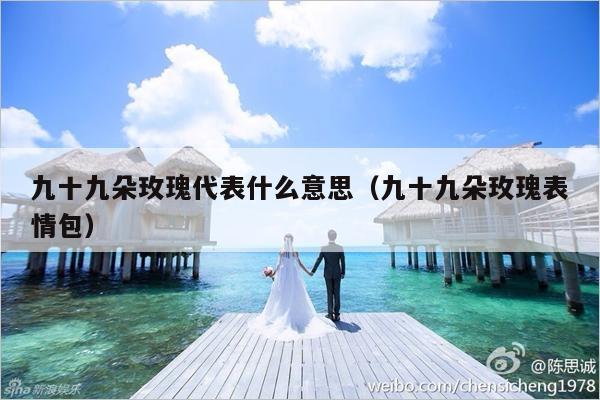 九十九朵玫瑰代表什么意思（九十九朵玫瑰表情包）-第1张图片