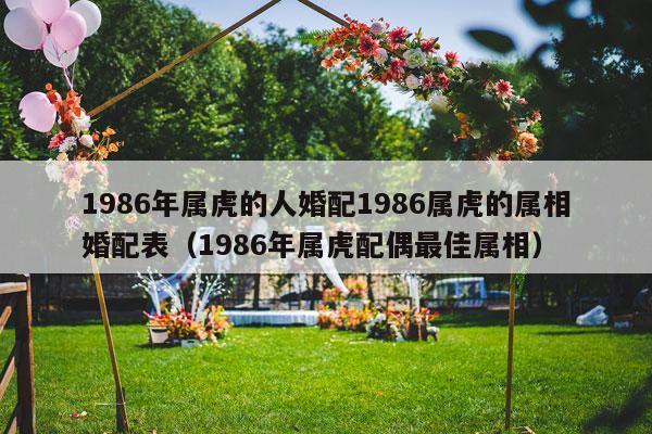 1986年属虎的人婚配1986属虎的属相婚配表（1986年属虎配偶最佳属相）-第1张图片