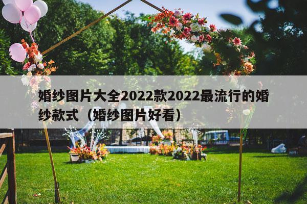婚纱图片大全2022款2022最流行的婚纱款式（婚纱图片好看）-第1张图片