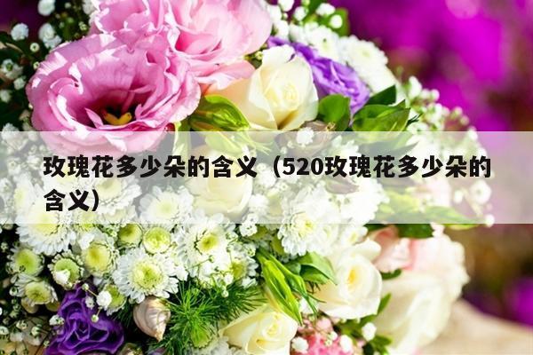 玫瑰花多少朵的含义（520玫瑰花多少朵的含义）-第1张图片