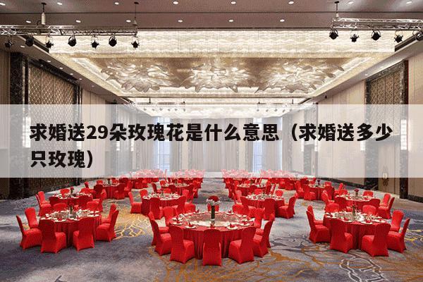 求婚送29朵玫瑰花是什么意思（求婚送多少只玫瑰）-第1张图片