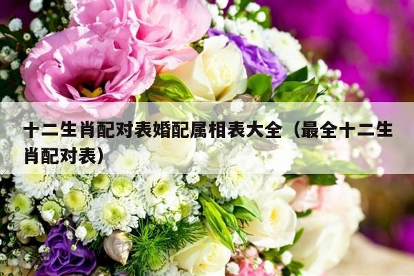 十二生肖配对表婚配属相表大全（最全十二生肖配对表）-第1张图片