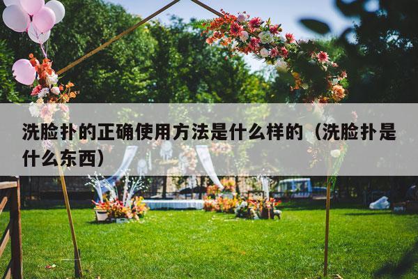 洗脸扑的正确使用方法是什么样的（洗脸扑是什么东西）-第1张图片