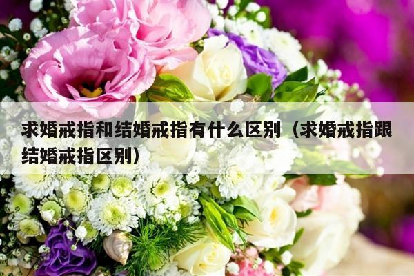 求婚戒指和结婚戒指有什么区别（求婚戒指跟结婚戒指区别）-第1张图片