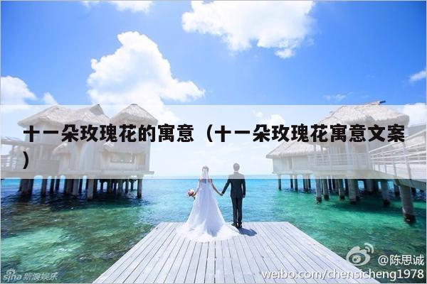 十一朵玫瑰花的寓意（十一朵玫瑰花寓意文案）-第1张图片