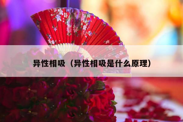 异性相吸（异性相吸是什么原理）-第1张图片
