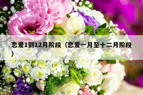 恋爱1到12月阶段（恋爱一月至十二月阶段）-第1张图片