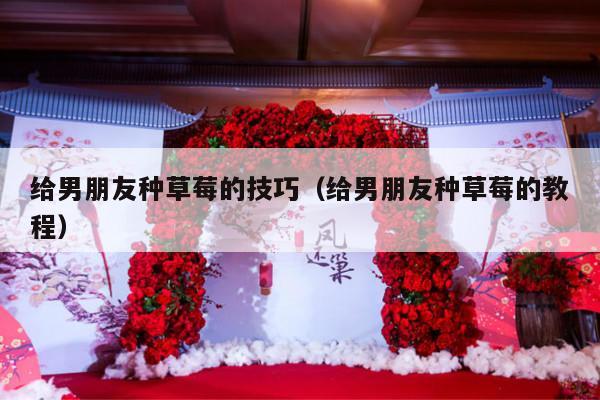 给男朋友种草莓的技巧（给男朋友种草莓的教程）-第1张图片