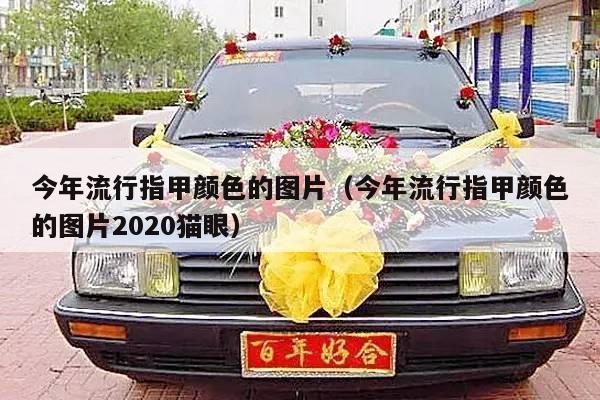 今年流行指甲颜色的图片（今年流行指甲颜色的图片2020猫眼）-第1张图片