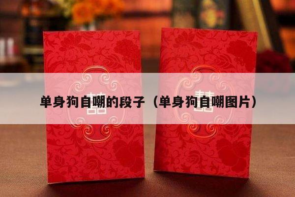 单身狗自嘲的段子（单身狗自嘲图片）-第1张图片