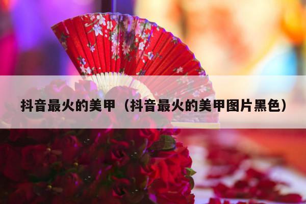 抖音最火的美甲（抖音最火的美甲图片黑色）-第1张图片