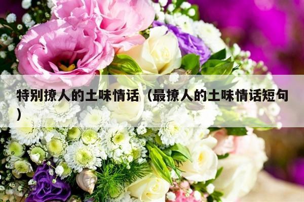 特别撩人的土味情话（最撩人的土味情话短句）-第1张图片