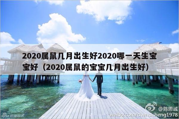2020属鼠几月出生好2020哪一天生宝宝好（2020属鼠的宝宝几月出生好）-第1张图片