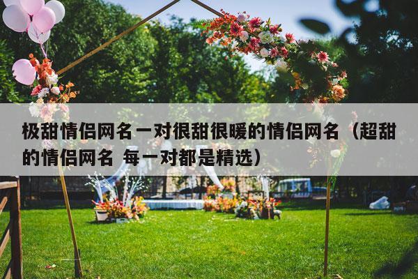 极甜情侣网名一对很甜很暖的情侣网名（超甜的情侣网名 每一对都是精选）-第1张图片