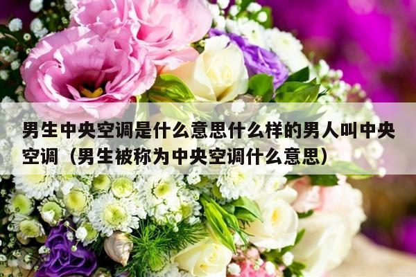 男生中央空调是什么意思什么样的男人叫中央空调（男生被称为中央空调什么意思）-第1张图片