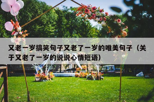 又老一岁搞笑句子又老了一岁的唯美句子（关于又老了一岁的说说心情短语）-第1张图片
