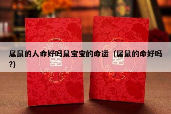 属鼠的人命好吗鼠宝宝的命运（属鼠的命好吗?）-第1张图片
