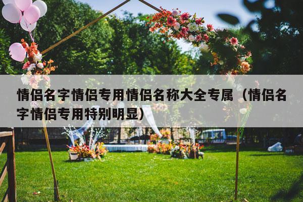 情侣名字情侣专用情侣名称大全专属（情侣名字情侣专用特别明显）-第1张图片