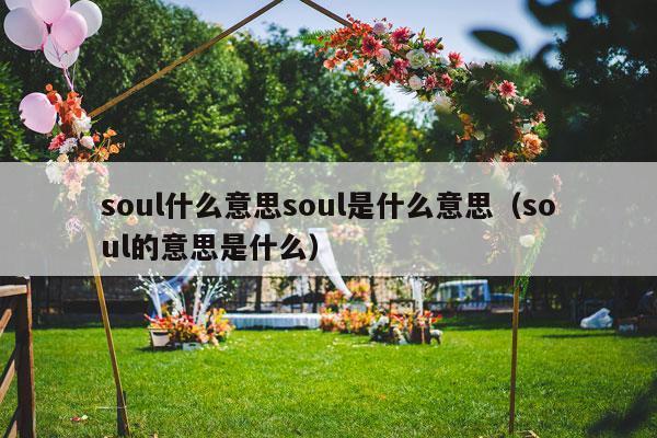 soul什么意思soul是什么意思（soul的意思是什么）-第1张图片