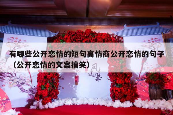 有哪些公开恋情的短句高情商公开恋情的句子（公开恋情的文案搞笑）-第1张图片