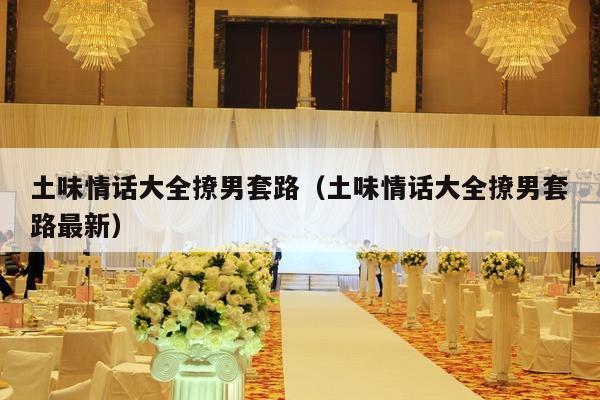 土味情话大全撩男套路（土味情话大全撩男套路最新）-第1张图片