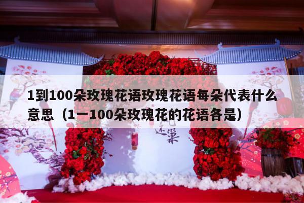 1到100朵玫瑰花语玫瑰花语每朵代表什么意思（1一100朵玫瑰花的花语各是）-第1张图片