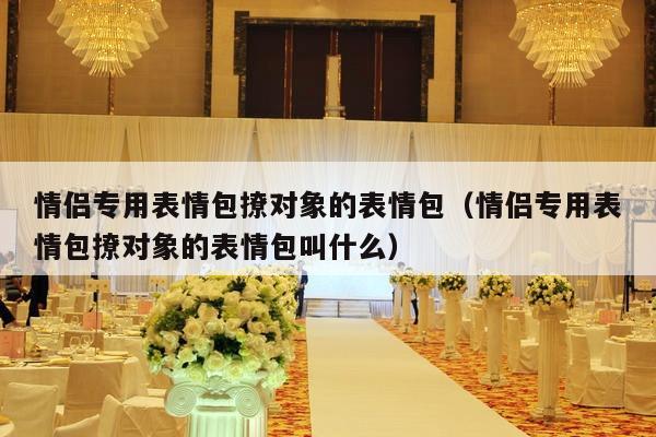 情侣专用表情包撩对象的表情包（情侣专用表情包撩对象的表情包叫什么）-第1张图片