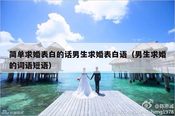 简单求婚表白的话男生求婚表白语（男生求婚的词语短语）-第1张图片