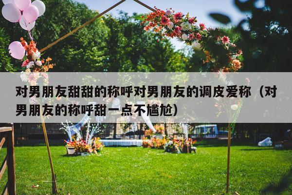 对男朋友甜甜的称呼对男朋友的调皮爱称（对男朋友的称呼甜一点不尴尬）-第1张图片
