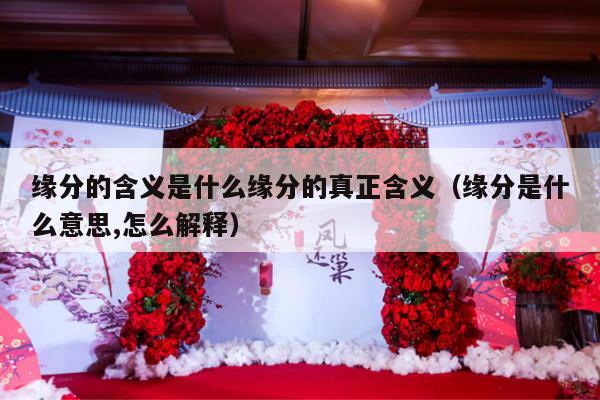 缘分的含义是什么缘分的真正含义（缘分是什么意思,怎么解释）-第1张图片