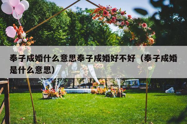 奉子成婚什么意思奉子成婚好不好（奉子成婚是什么意思）-第1张图片