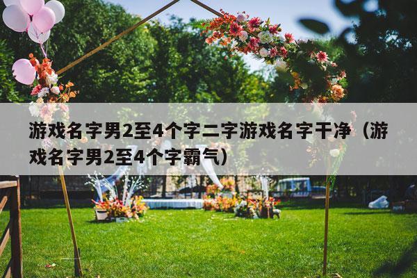 游戏名字男2至4个字二字游戏名字干净（游戏名字男2至4个字霸气）-第1张图片