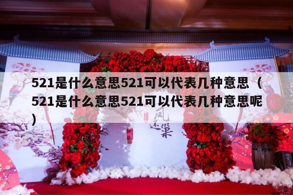 521是什么意思521可以代表几种意思（521是什么意思521可以代表几种意思呢）-第1张图片